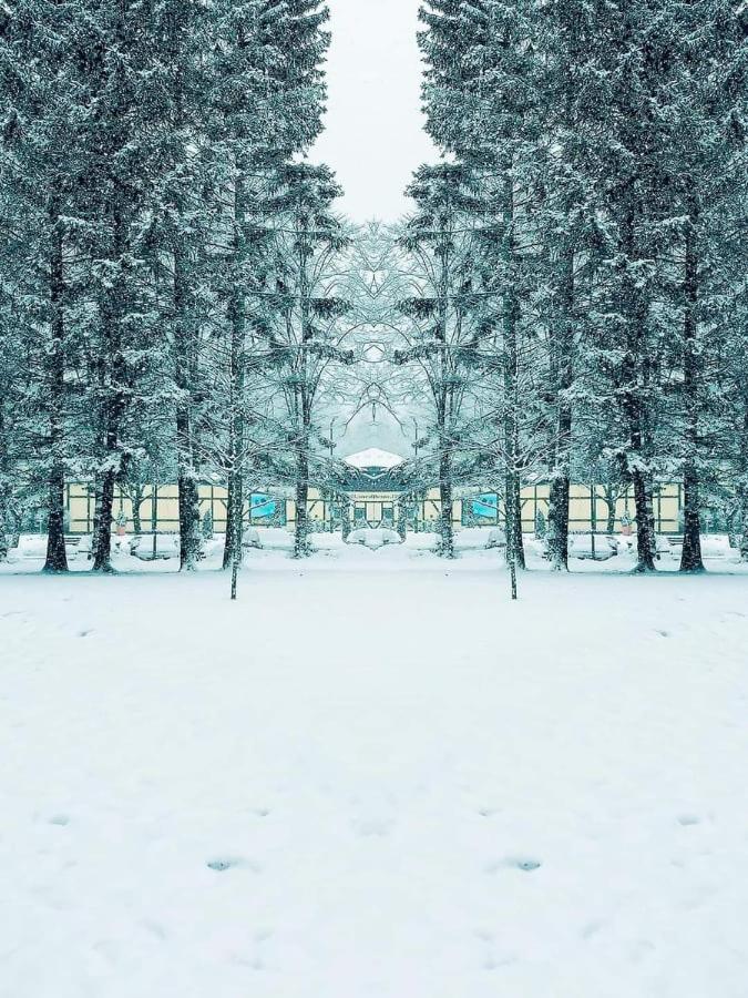 Crisand Wald &Terrasse Angebot 2Xeintrittskarten Therme Fuer November 2024 Altenau  Exterior photo